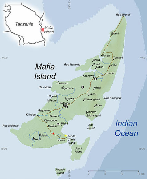 Mafia Island - Amo Zanzibar Tours and Safari